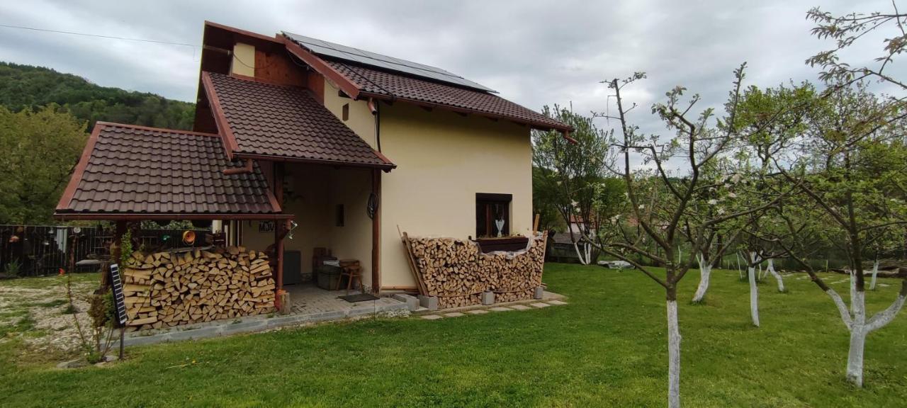 Cottage In Traditional Village Bradulet, Arges County 외부 사진