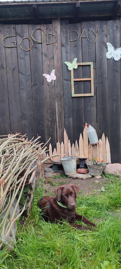 Cottage In Traditional Village Bradulet, Arges County 외부 사진